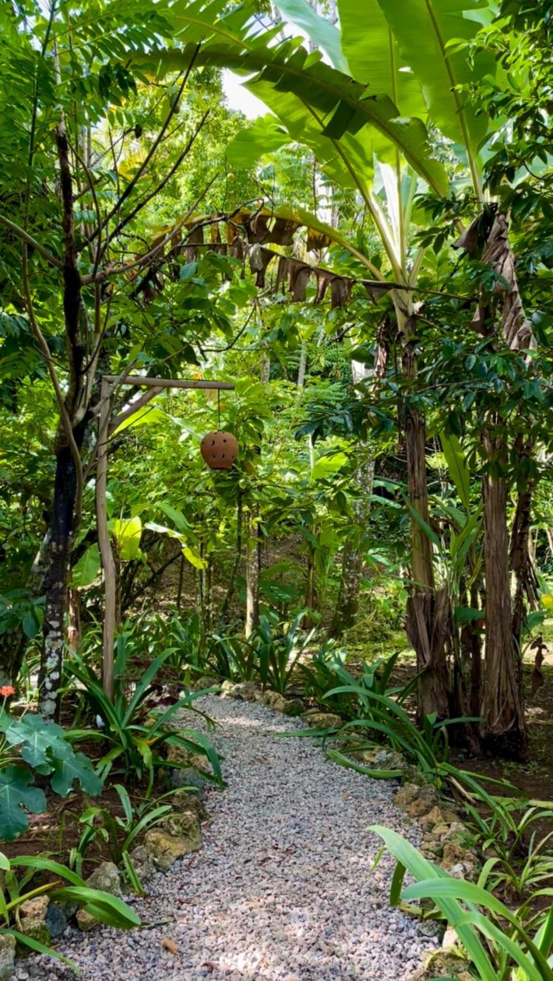 Rancho Romana Ecolodge Park V-01 El Limon Exterior photo