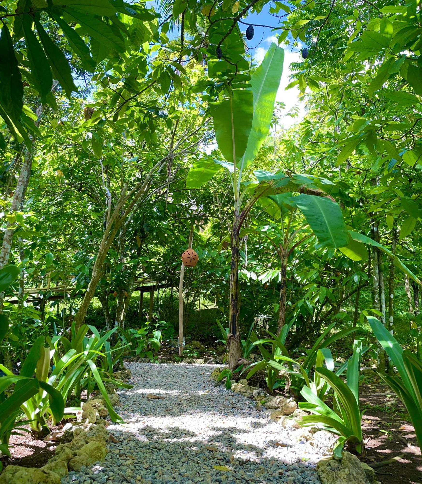 Rancho Romana Ecolodge Park V-01 El Limon Exterior photo