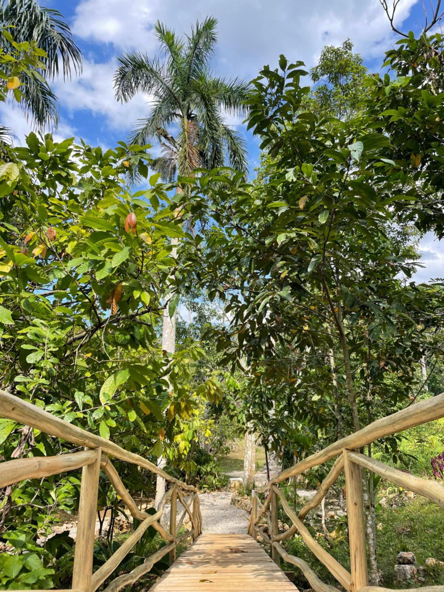 Rancho Romana Ecolodge Park V-01 El Limon Exterior photo