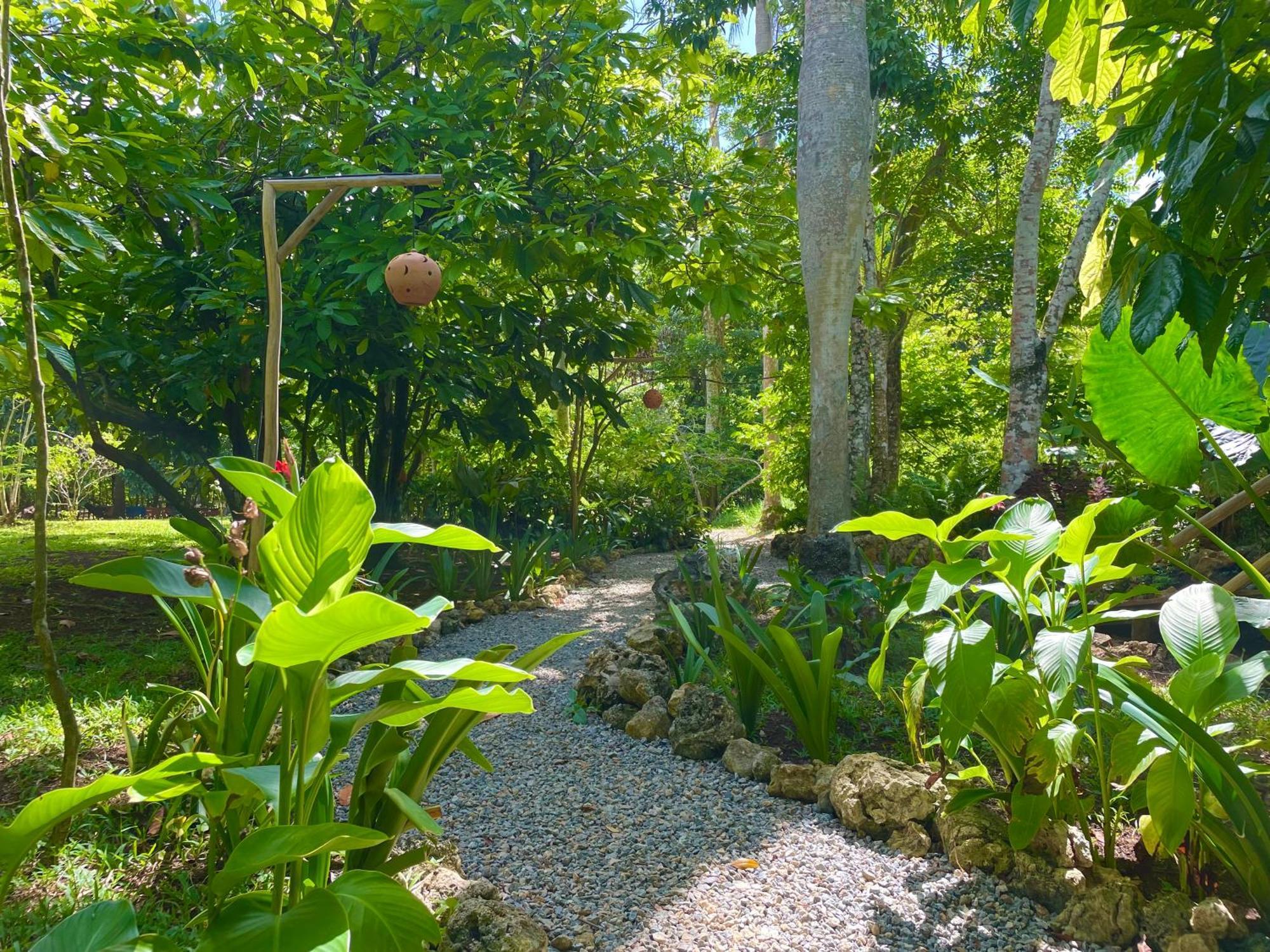 Rancho Romana Ecolodge Park V-01 El Limon Exterior photo